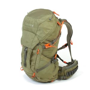 Fauna  Kinglet 35